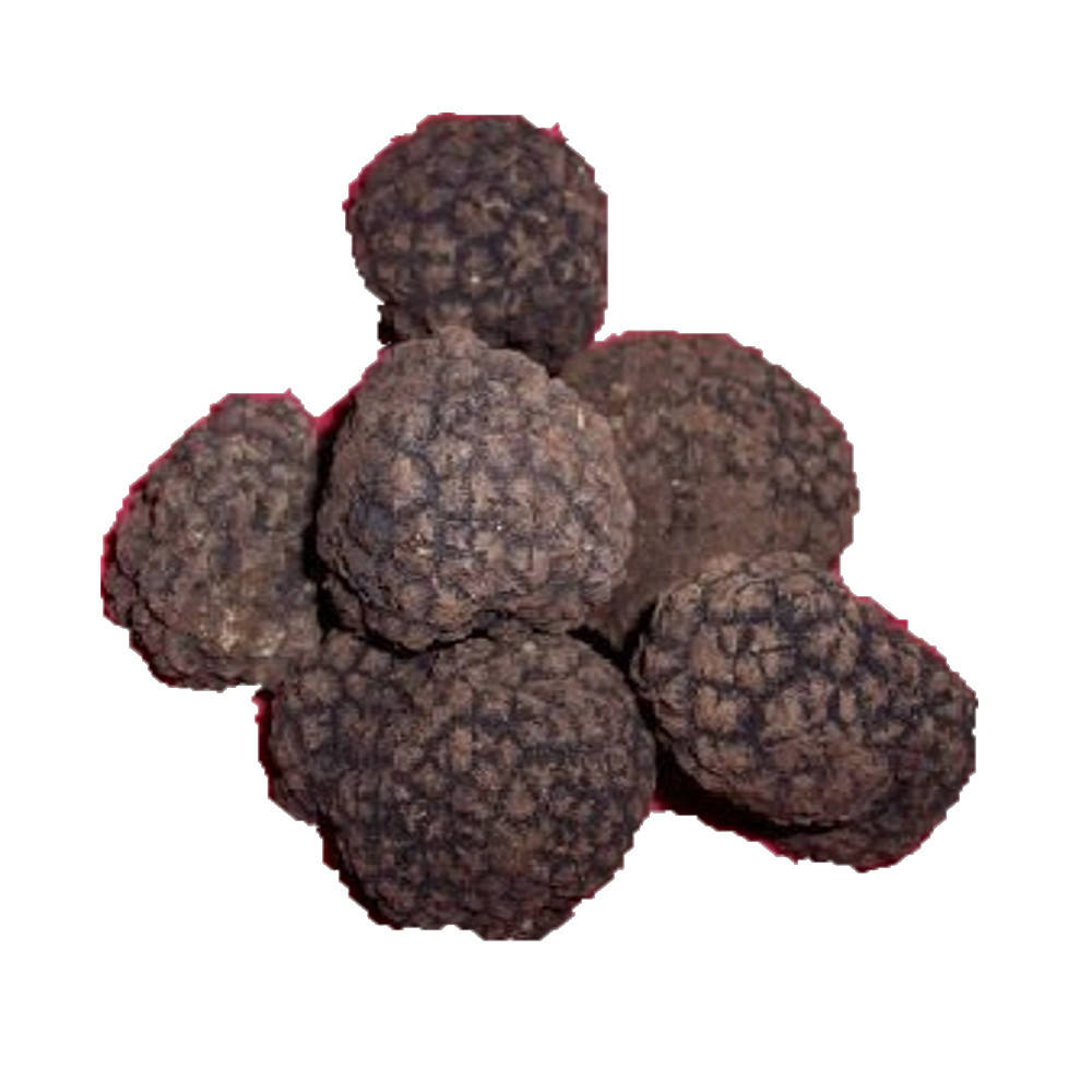 Italian food and beverage product, produced in Italy, ready for export: truffle butter and mozzarella cheese